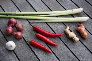 semarang indonesisch amersfoort